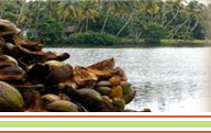 KERALA TOURISM