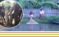 KERALA TOURISM